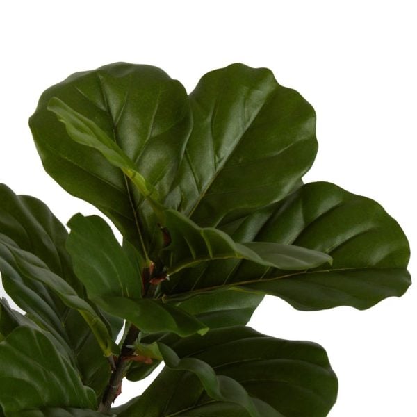 FIDDLE LEAF Faux Tree 1.33m - Image 2