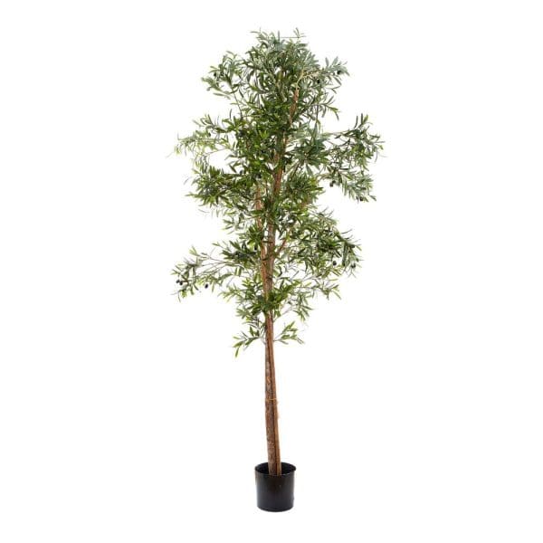 OLIVE Faux Tree 2m