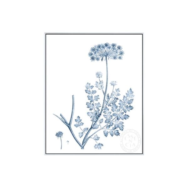 ANTIQUE BOTANICAL in BLUE V - White Canvas