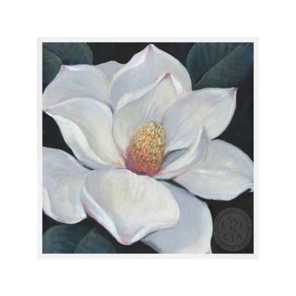BLOOMING MAGNOLIA II - White Frame