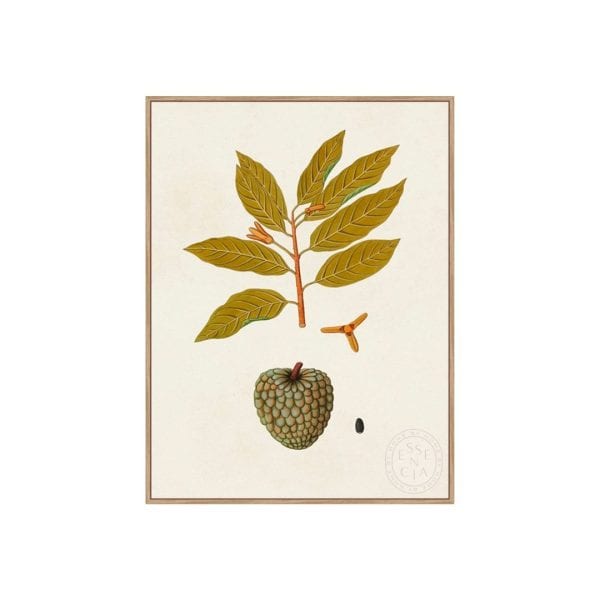 EXOTIC BOTANICALS VII - Natural Canvas