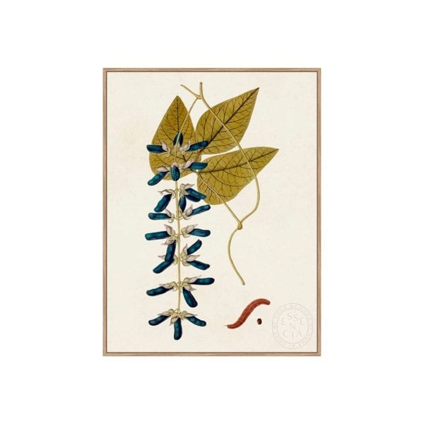 EXOTIC BOTANICALS VIII - Natural Canvas