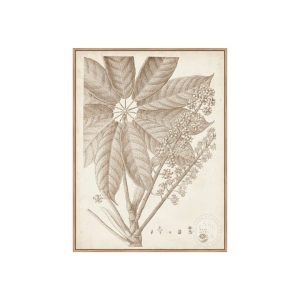 SEPIA EXOTIC PLANTS V - Natural Canvas