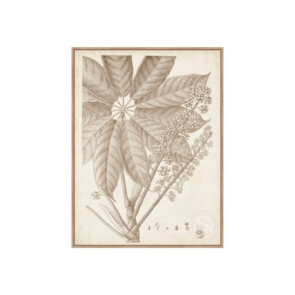 SEPIA EXOTIC PLANTS V - Natural Canvas
