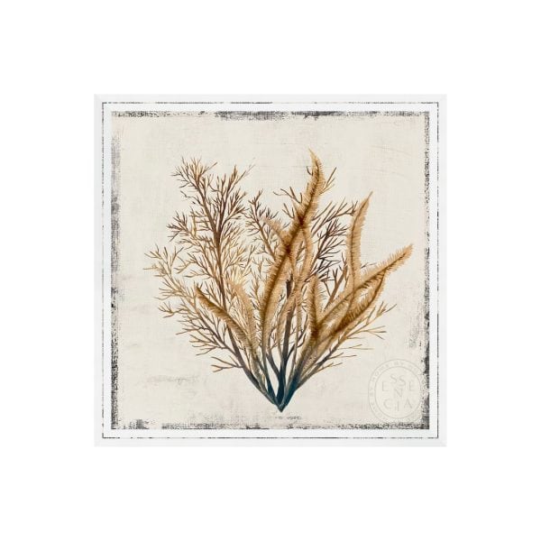 YELLOW CORAL III - White Frame